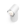 Philips Hue Lampe de salle de bains White Ambiance Adore, GU10, blanc, BT