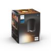 Philips Hue Spot encastré White Ambiance, Pilier 1x GU10, Noir