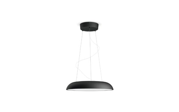 Philips Hue Lampe suspendue White Ambiance Amaze, Noir, Bluetooth