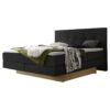 Lit boxspring incl. espace de rangement Miami Hasena 140x200 cm Anthracite / Brun