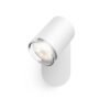 Philips Hue Lampe de salle de bains White Ambiance Adore