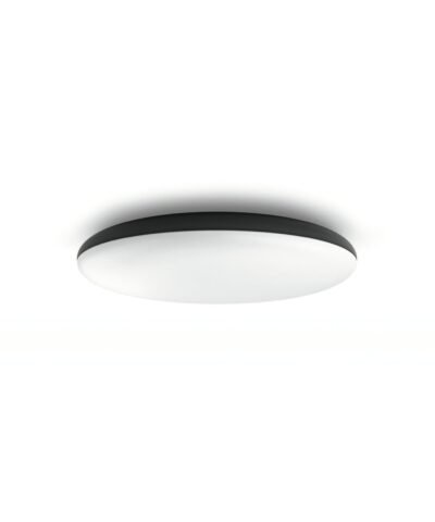 Philips Hue Plafonnier White Ambiance Cher