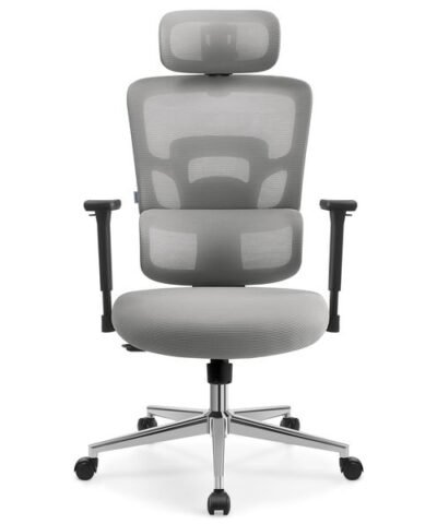 Songmics Chaise de bureau avec appui-tête et accoudoirs, Gris 10