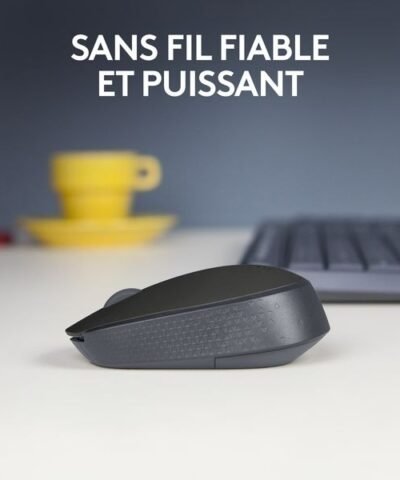 Logitech Souris portable M171 , sans fil 1