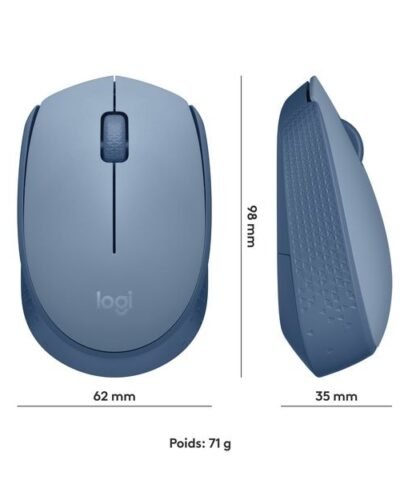 Logitech Souris portable M171 , sans fil 7