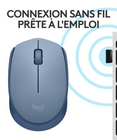 Logitech Souris portable M171 , sans fil 5
