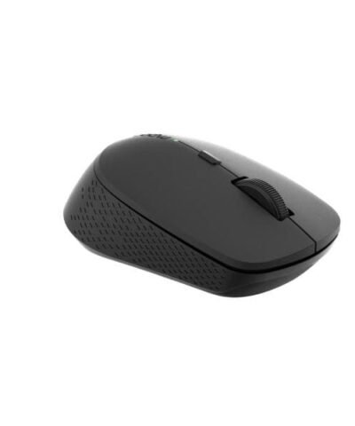 Rapoo Souris M300 Silent Dark Grey 1