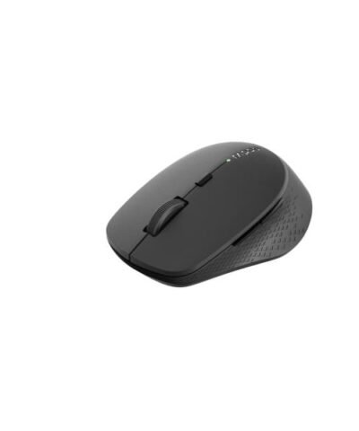 Rapoo Souris M300 Silent Dark Grey 8