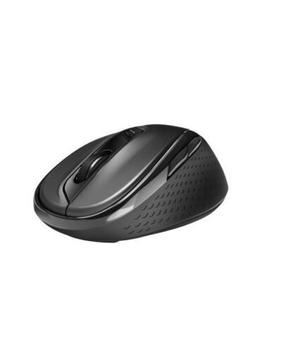 Rapoo Souris M500 Silent Wireless Noir 1