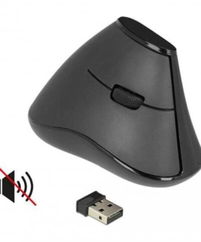 Delock Souris ergonomique 12622 Silent USB sans fil 2