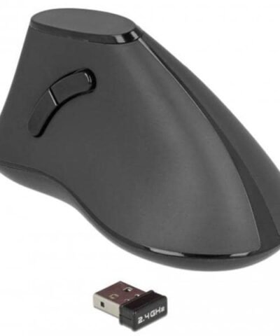 Delock Souris ergonomique 12622 Silent USB sans fil 1