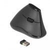 Delock Souris ergonomique 12622 Silent USB sans fil 5