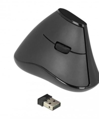 Delock Souris ergonomique 12622 Silent USB sans fil 5