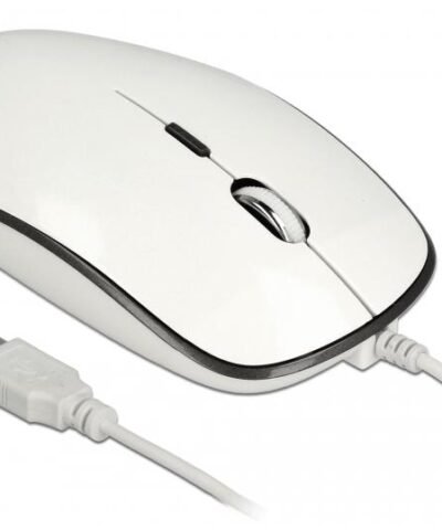 Delock Souris 12532 USB-Type-A &Type-C 1