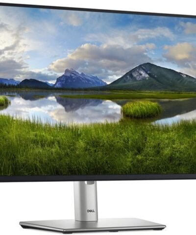 DELL Moniteur P2425H 2