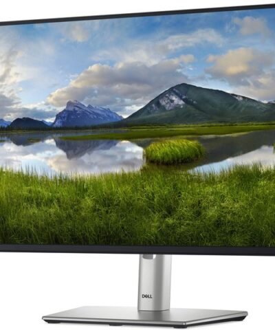 DELL Moniteur P2425H 1