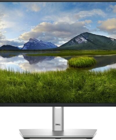 DELL Moniteur P2425H 10