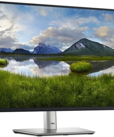 DELL Moniteur P2425 2