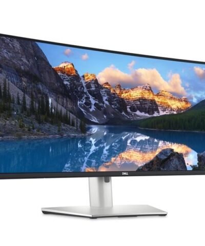 DELL Moniteur U4924DW 2