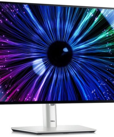 DELL Moniteur UltraSharp 24 U2424HE 1