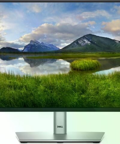 DELL Moniteur P2225H 10