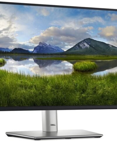 DELL Moniteur P2225H 2