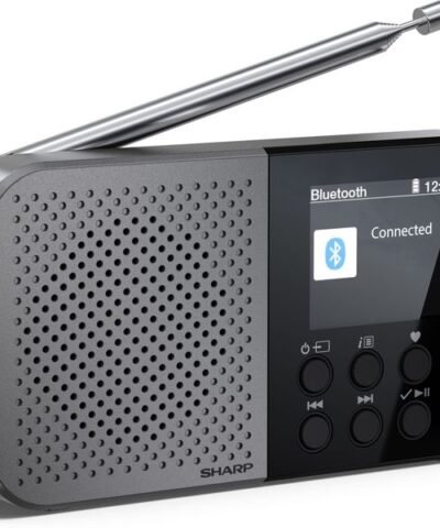 Sharp Radio DAB+ DR-P520 Gris 2
