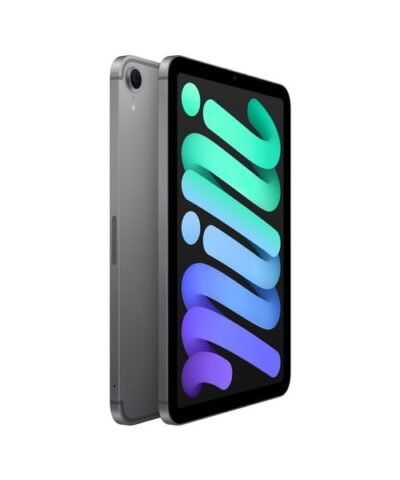 Apple iPad mini 2024 Cellular 128 GB gris sidéral 1