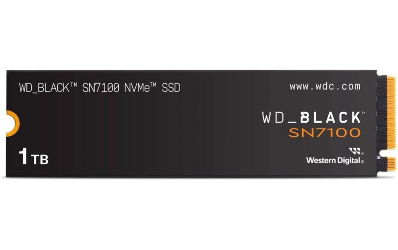 SanDisk SSD SN7100 M.2 2280 NVMe 1000 GB